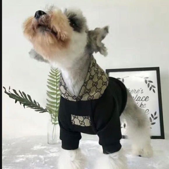 gucci hoodie for dogs